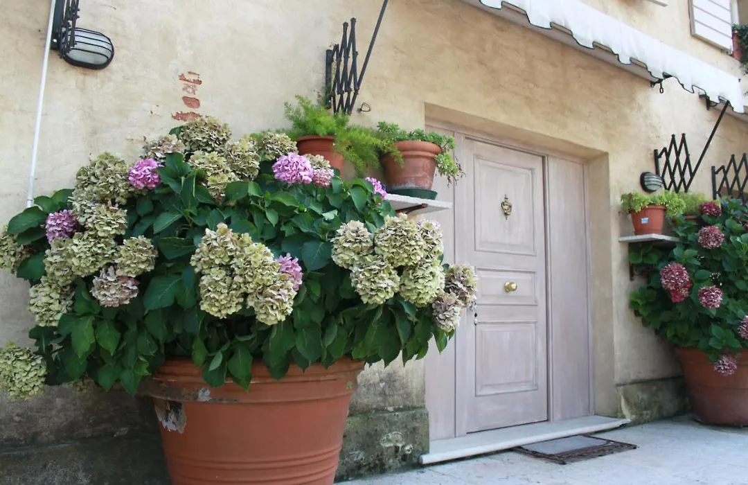 Guest House La Marignana-1